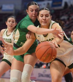 article image - cheek_1916